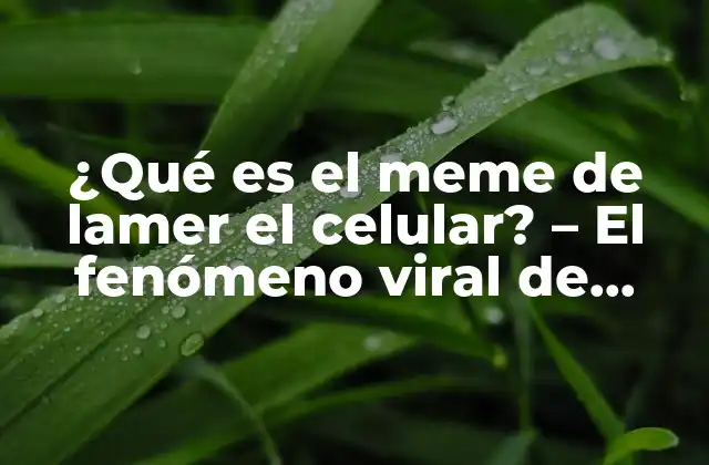 ¿qué es el Meme de Lamer el Celular? - el Fenómeno Viral de Internet 2 El nacimiento del meme de lamer el celular: La teoría de la frustración