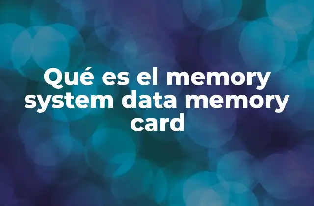 Qué es el Memory System Data Memory Card