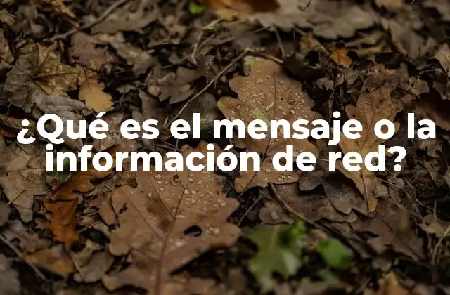 ¿qué es el Mensaje o la Información de Red?