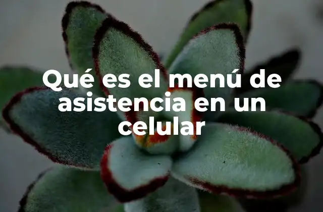 Qué es el Menú de Asistencia en un Celular
