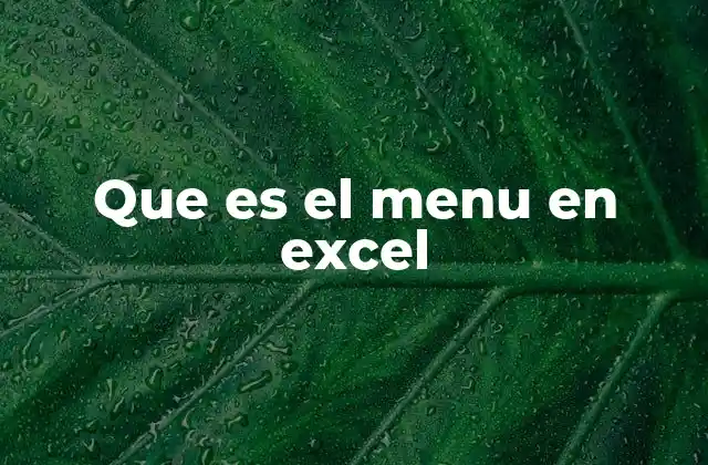 Que es el Menu en Excel