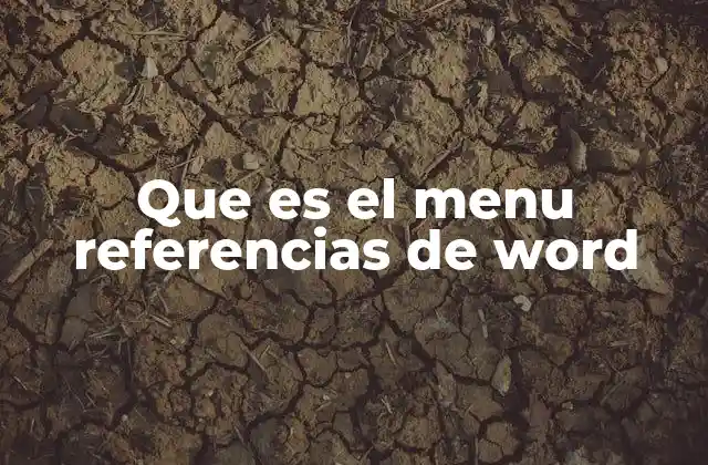 Que es el Menu Referencias de Word