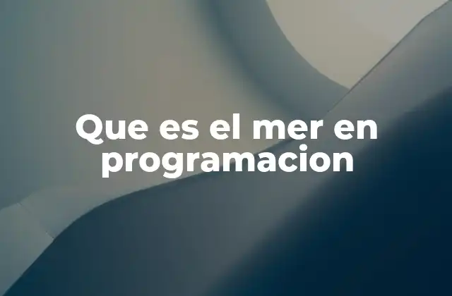 Que es el Mer en Programacion