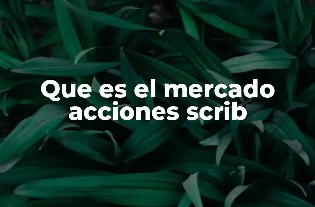Que es el Mercado Acciones Scrib