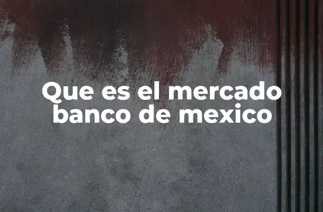 Que es el Mercado Banco de Mexico