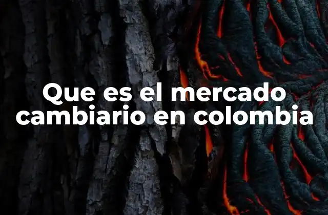 Que es el Mercado Cambiario en Colombia