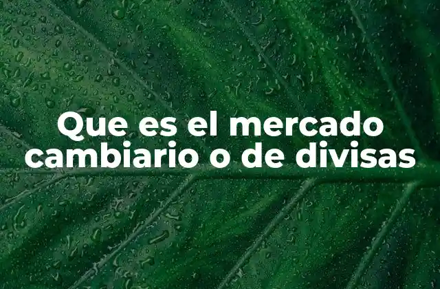 Que es el Mercado Cambiario o de Divisas