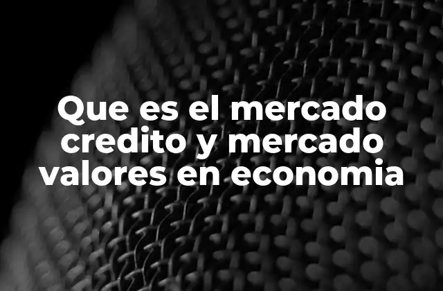 Que es el Mercado Credito y Mercado Valores en Economia