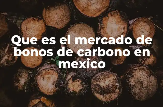 Que es el Mercado de Bonos de Carbono en Mexico