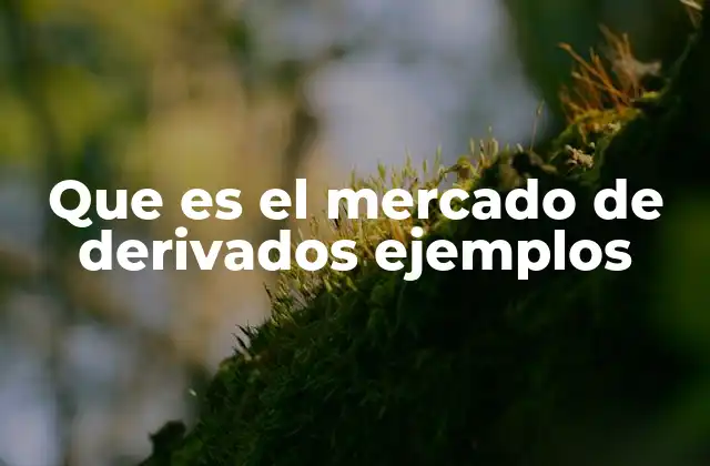 Que es el Mercado de Derivados Ejemplos
