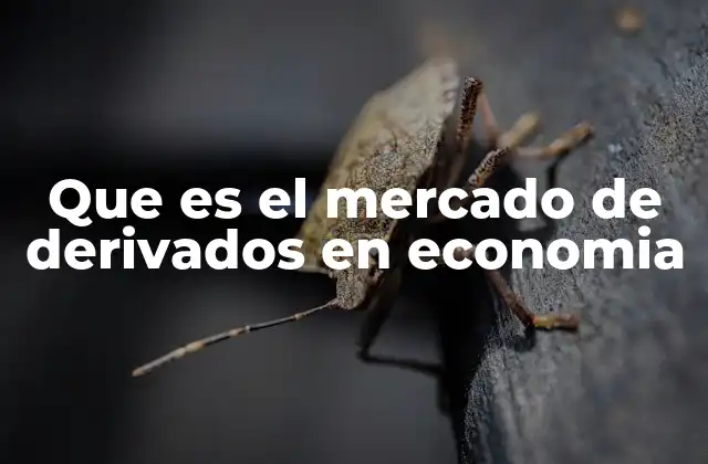 Que es el Mercado de Derivados en Economia