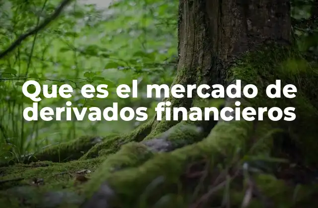 Que es el Mercado de Derivados Financieros 2 Cómo funcionan los mercados financieros derivados