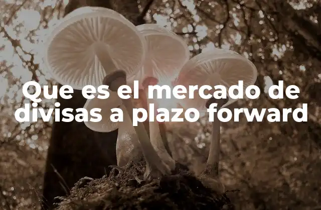 Que es el Mercado de Divisas a Plazo Forward 2 El funcionamiento del mercado de divisas a plazo forward
