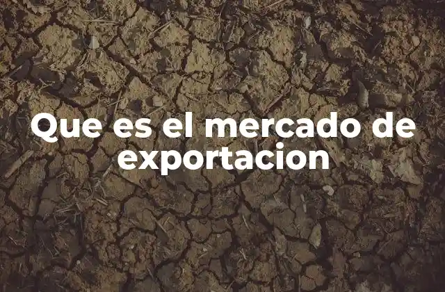 Que es el Mercado de Exportacion