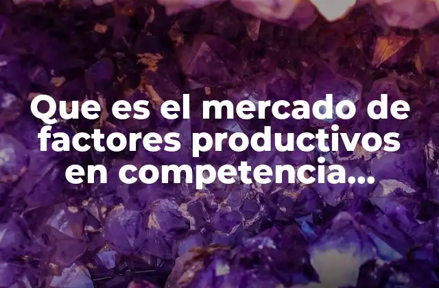 Que es el Mercado de Factores Productivos en Competencia Perfecta