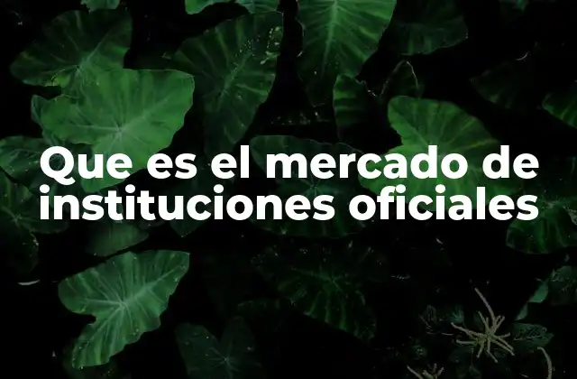 El rol de las instituciones oficiales en los mercados financieros