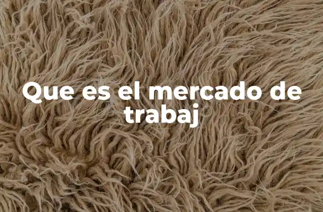 La dinámica entre oferentes y demandantes de empleo
