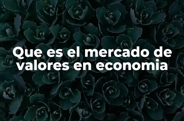 Que es el Mercado de Valores en Economia 2 El papel del mercado de valores en la economía