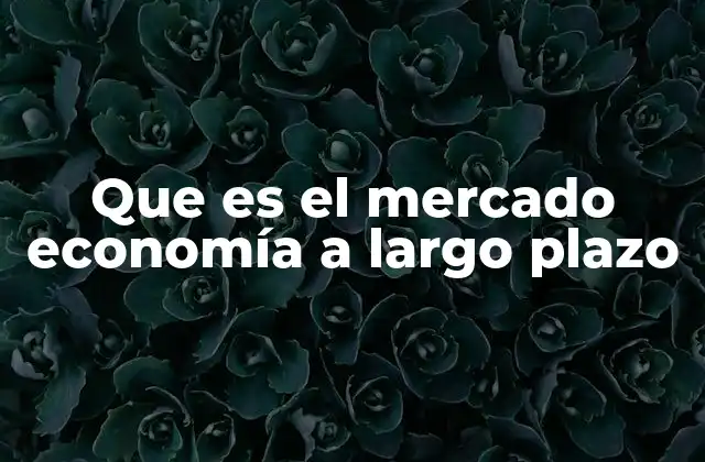 Que es el Mercado Economía a Largo Plazo