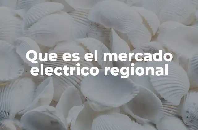 Que es el Mercado Electrico Regional