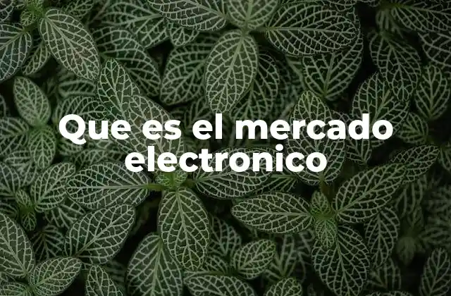 Que es el Mercado Electronico