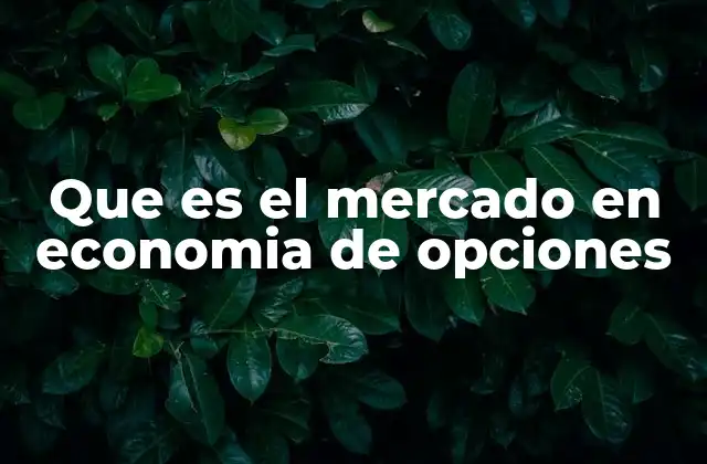 Que es el Mercado en Economia de Opciones 2 Funcionamiento del mercado de opciones en la economía financiera