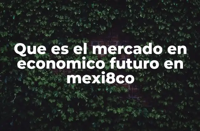 Que es el Mercado en Economico Futuro en Mexi8co