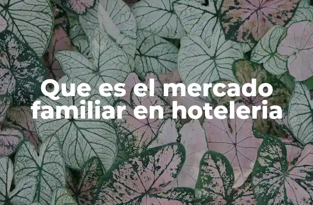 Que es el Mercado Familiar en Hoteleria
