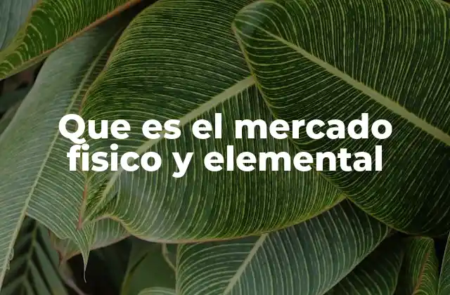 Que es el Mercado Fisico y Elemental