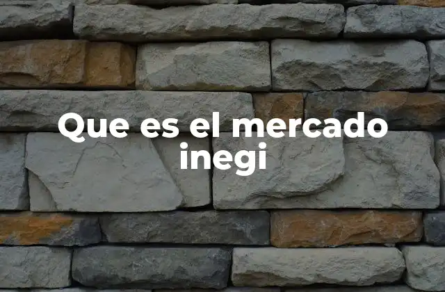 Que es el Mercado Inegi