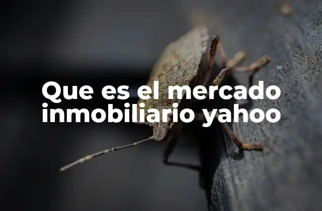 Que es el Mercado Inmobiliario Yahoo
