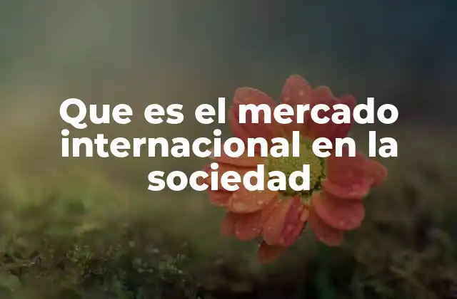 Que es el Mercado Internacional en la Sociedad