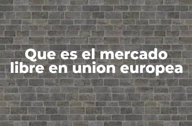 Que es el Mercado Libre en Union Europea