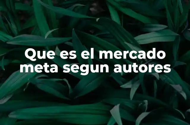 Que es el Mercado Meta Segun Autores
