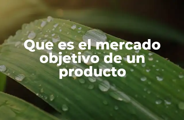 Que es el Mercado Objetivo de un Producto