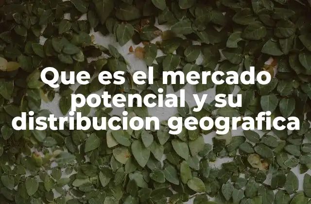 Que es el Mercado Potencial y Su Distribucion Geografica