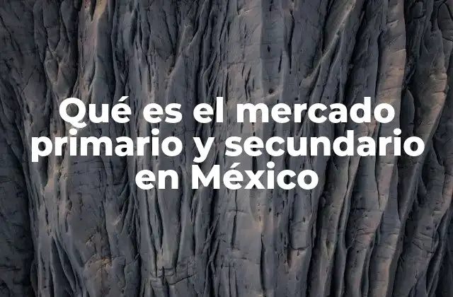Qué es el Mercado Primario y Secundario en México