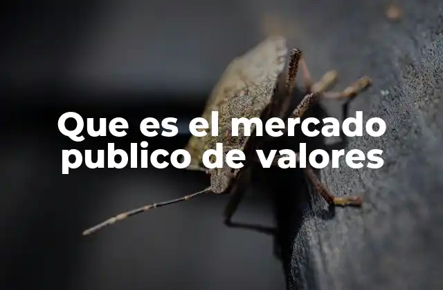 Que es el Mercado Publico de Valores