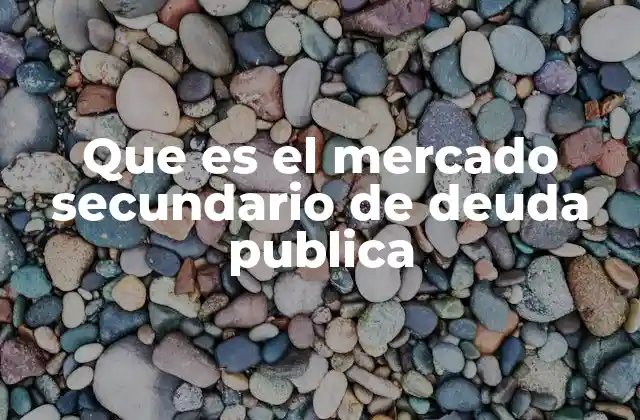 Que es el Mercado Secundario de Deuda Publica