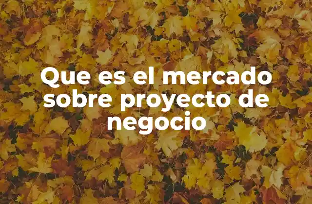 Que es el Mercado sobre Proyecto de Negocio