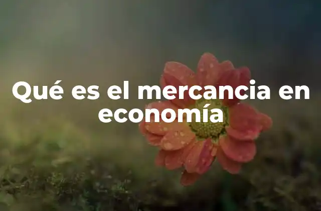 Qué es el Mercancia en Economía
