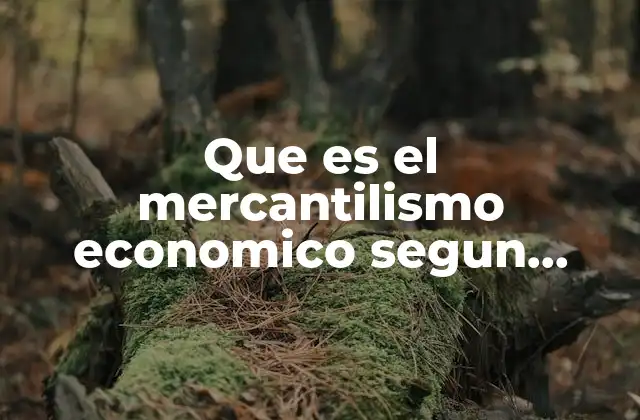 Que es el Mercantilismo Economico Segun Autores
