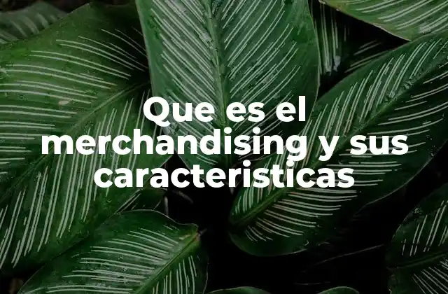 Que es el Merchandising y Sus Caracteristicas