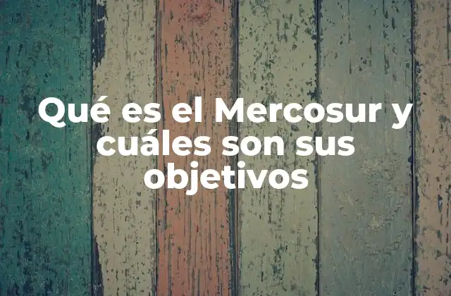 Qué es el Mercosur y Cuáles Son Sus Objetivos