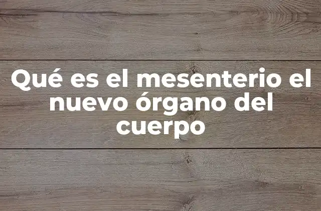 Qué es el Mesenterio el Nuevo Órgano Del Cuerpo
