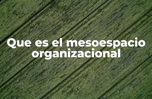 Que es el Mesoespacio Organizacional