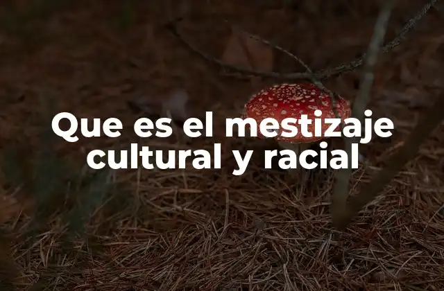 Que es el Mestizaje Cultural y Racial