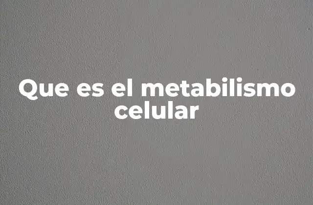 Que es el Metabilismo Celular