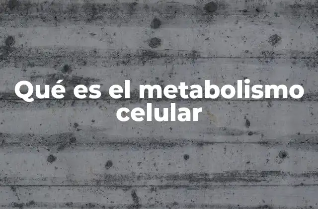 Qué es el Metabolismo Celular
