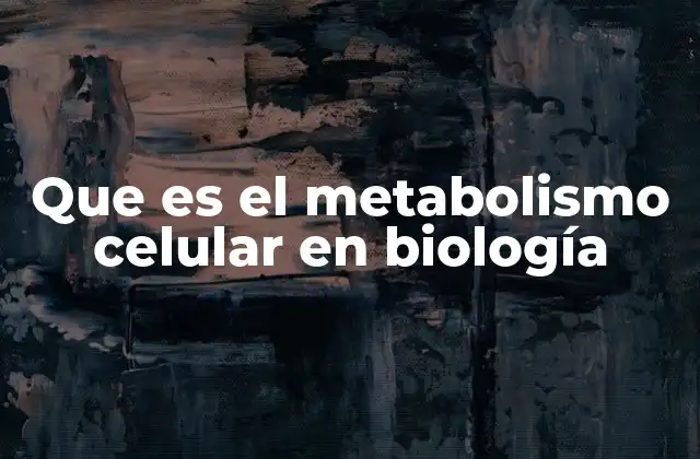 Que es el Metabolismo Celular en Biología